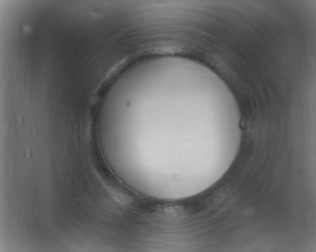 X0000067530304200604211850