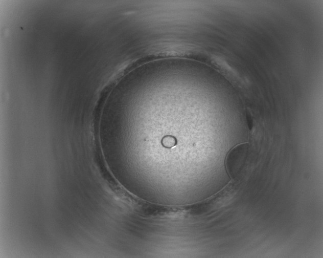 X0000067530306200604211850