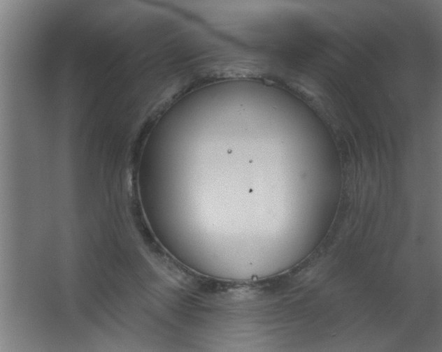 X0000067530310200604211850