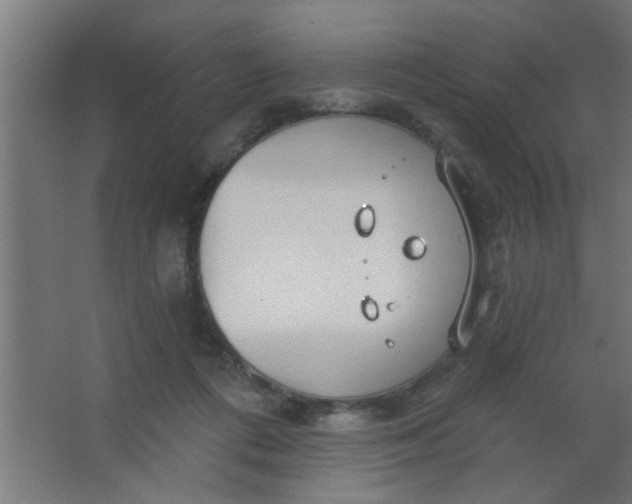 X0000067530312200604211850