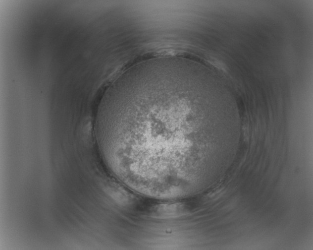 X0000067530314200604211850