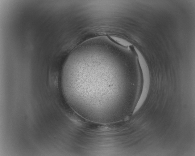 X0000067530315200604211850