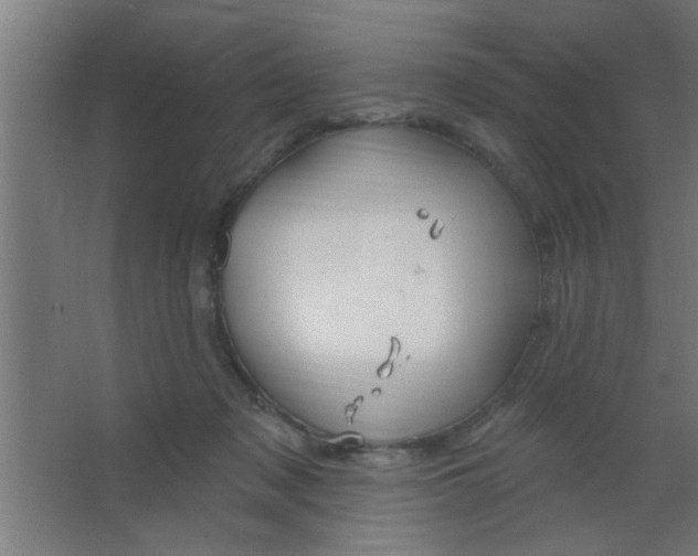 X0000067530317200604211850