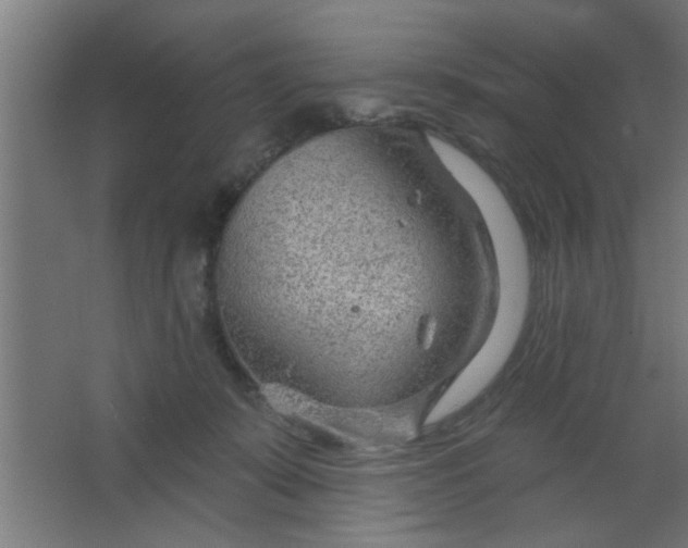 X0000067530319200604211850