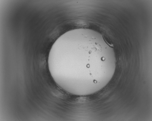 X0000067530320200604211850