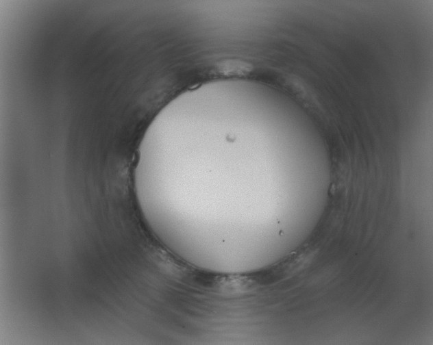 X0000067530321200604211850