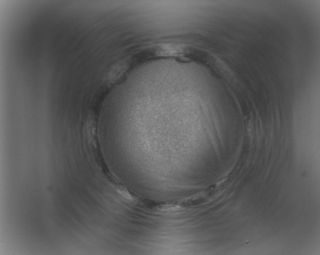 X0000067530322200604211850