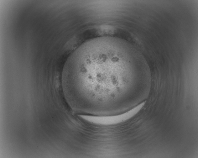 X0000067530323200604211850