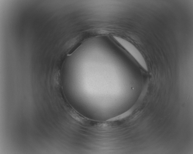 X0000067530325200604211850