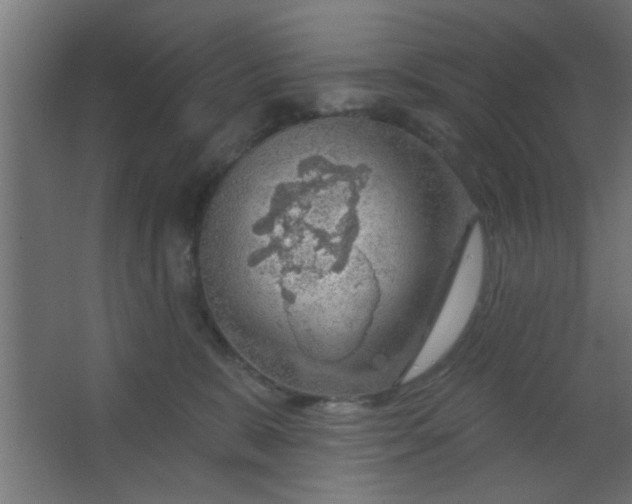 X0000067530327200604211850