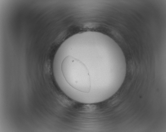 X0000067530328200604211850