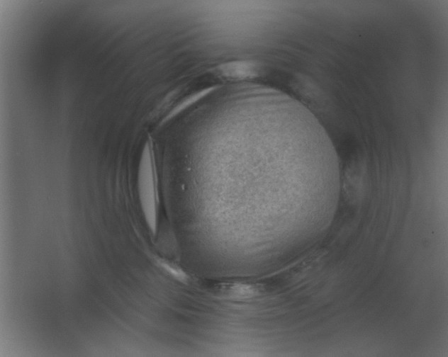 X0000067530330200604211850