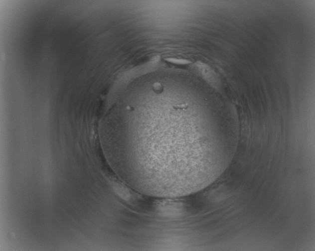 X0000067530331200604211850