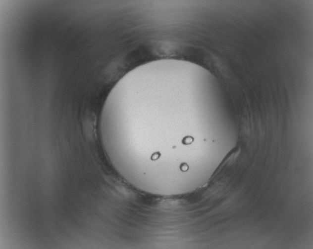 X0000067530332200604211850