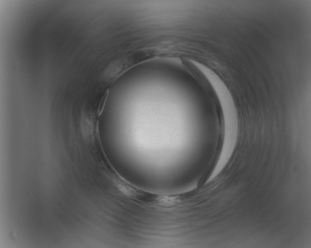 X0000067530333200604211850