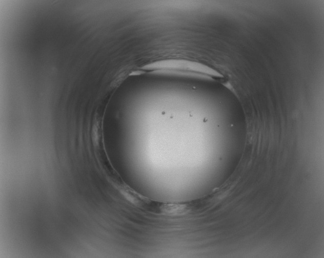 X0000067530334200604211850