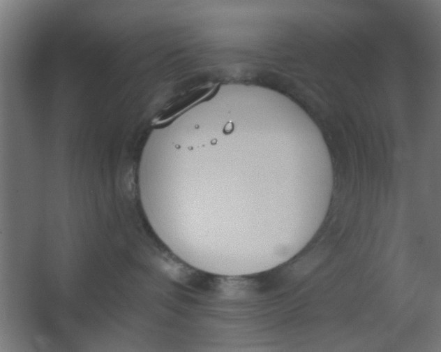 X0000067530336200604211850