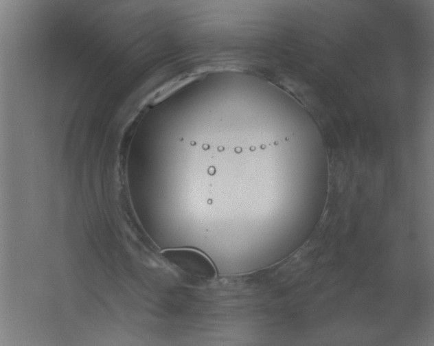 X0000067530338200604211849