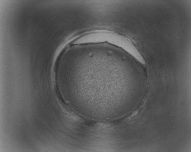 X0000067530343200604211849