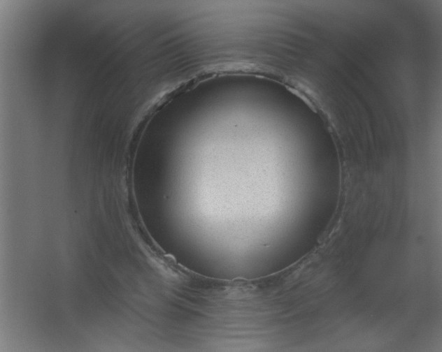 X0000067530345200604211849