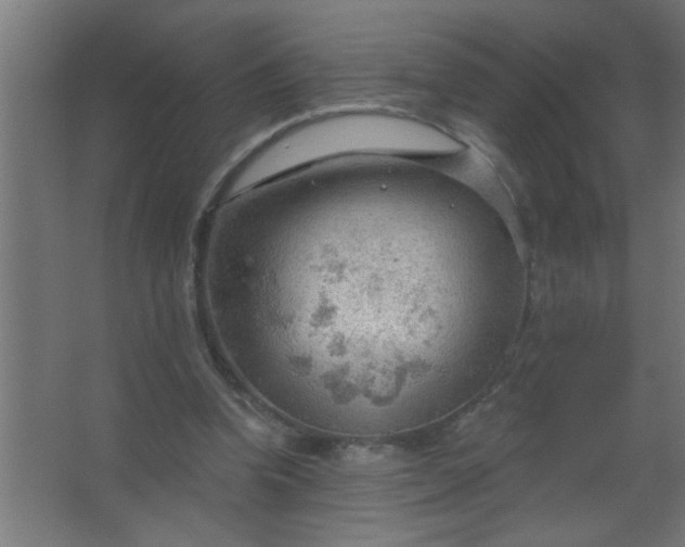 X0000067530346200604211849