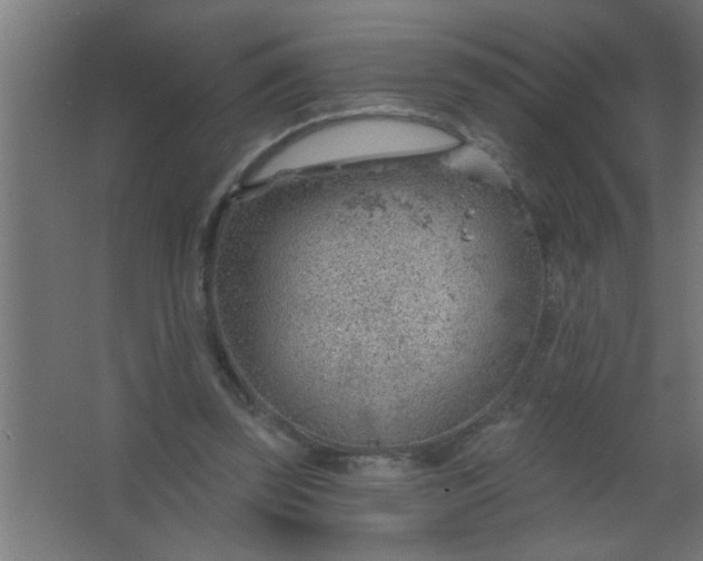 X0000067530347200604211849