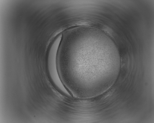 X0000067530349200604211849