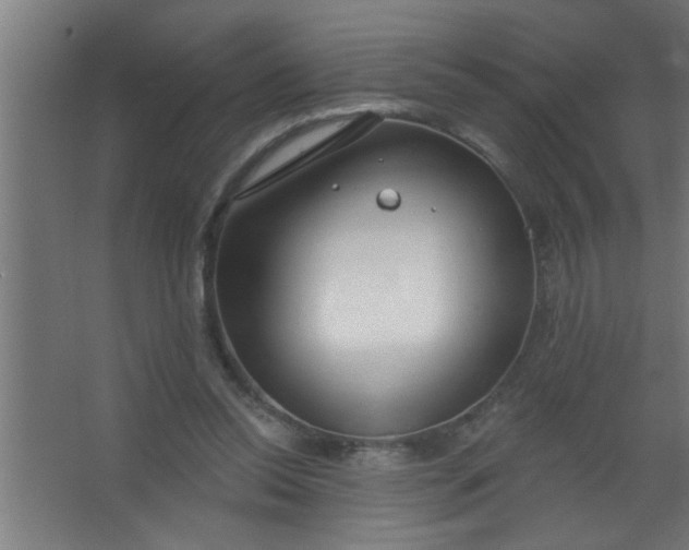 X0000067530350200604211849