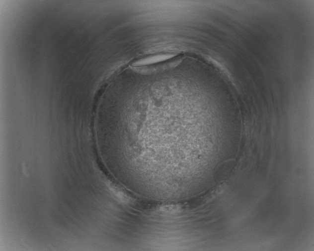 X0000067530353200604211849