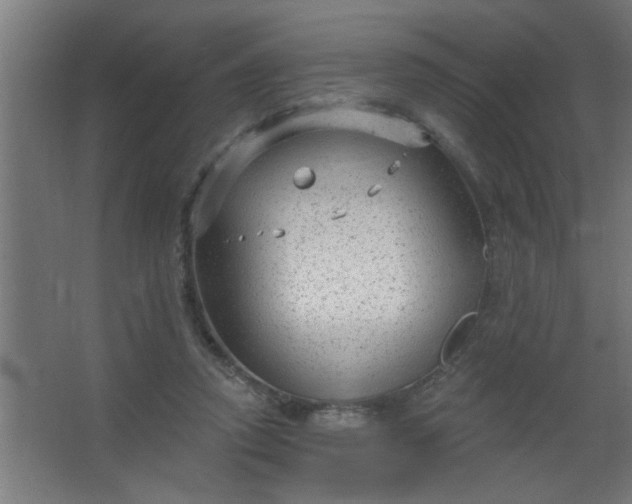 X0000067530354200604211849