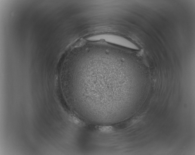 X0000067530355200604211849