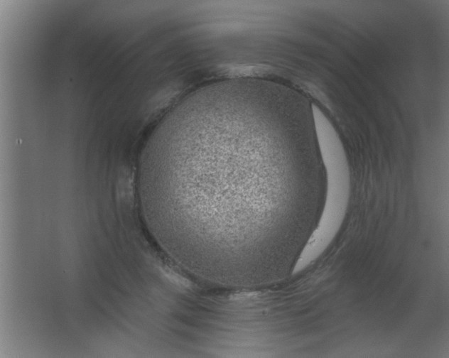 X0000067530357200604211849