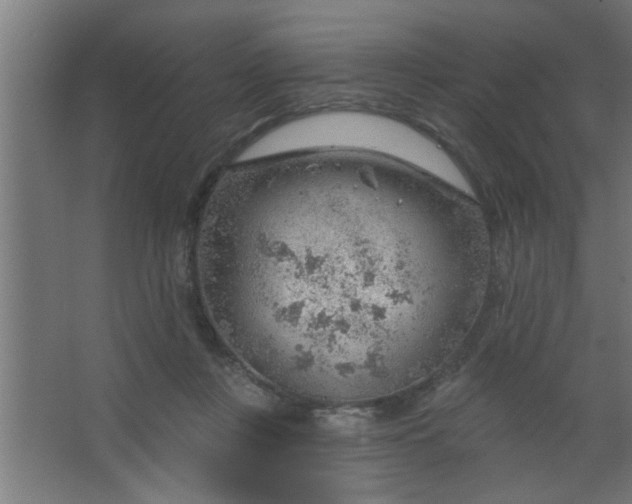 X0000067530359200604211849