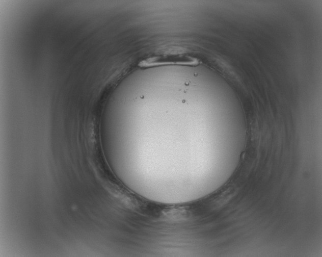 X0000067530362200604211849