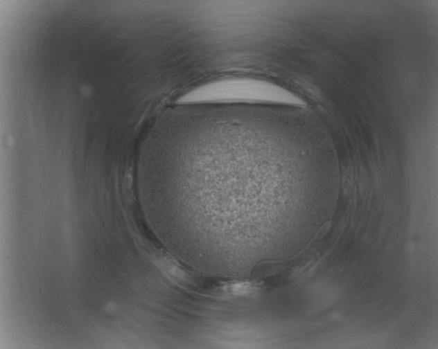 X0000067530365200604211850