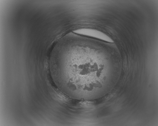 X0000067530367200604211850