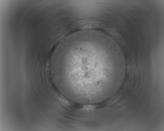 X0000067530369200604211850