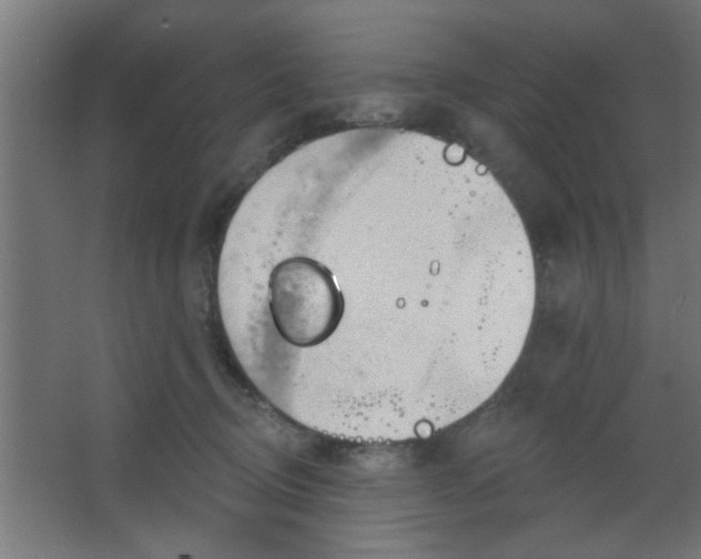 X0000067530370200604211850