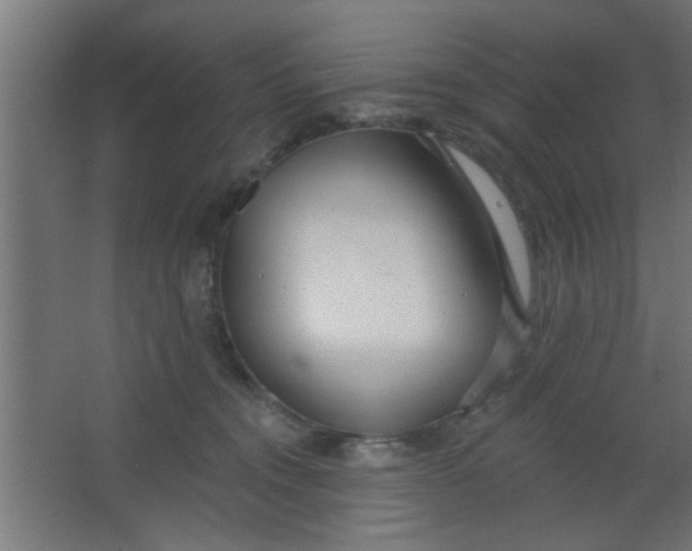 X0000067530372200604211850