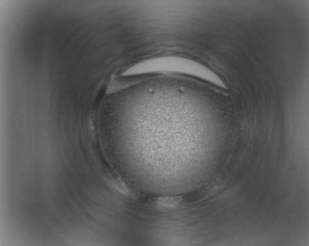 X0000067530373200604211850