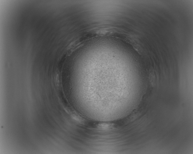 X0000067530375200604211850