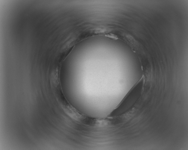 X0000067530376200604211850