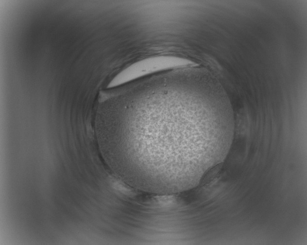 X0000067530377200604211850