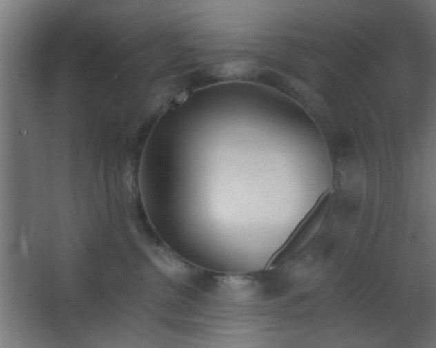 X0000067530380200604211850