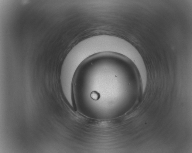 X0000067530382200604211850