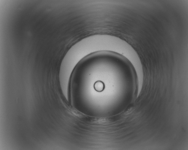 X0000067530383200604211850