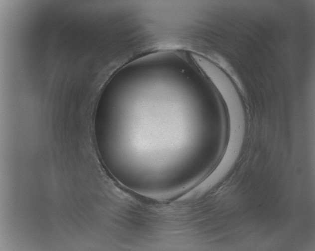 X0000067530385200604211849