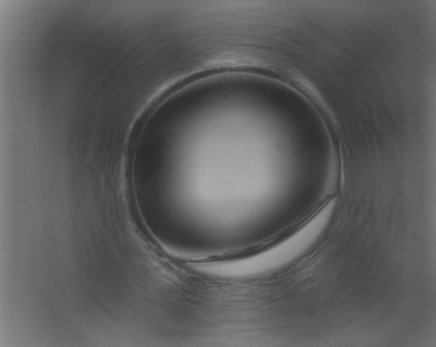 X0000067530387200604211849