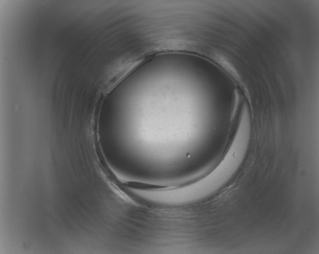 X0000067530389200604211849