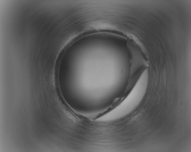 X0000067530391200604211849